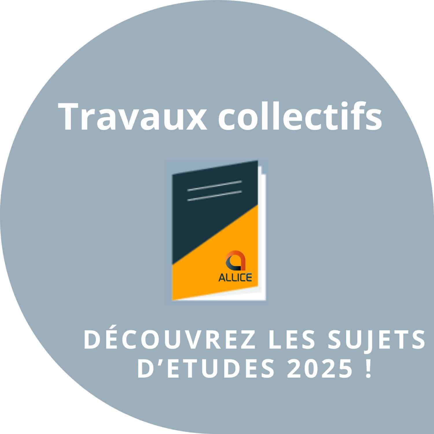Découvrez les sujets d&rsquo;études ALLICE 2025 !