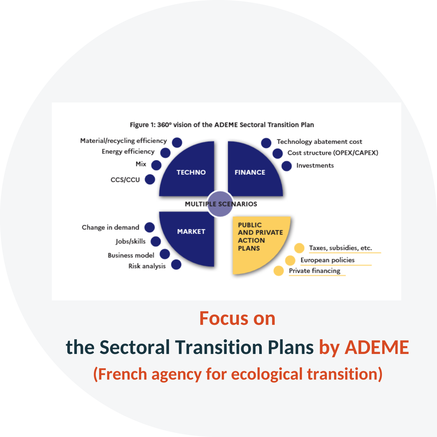 Find out more about sectoral transition plans for a 360-degree view of the challenges of the transition